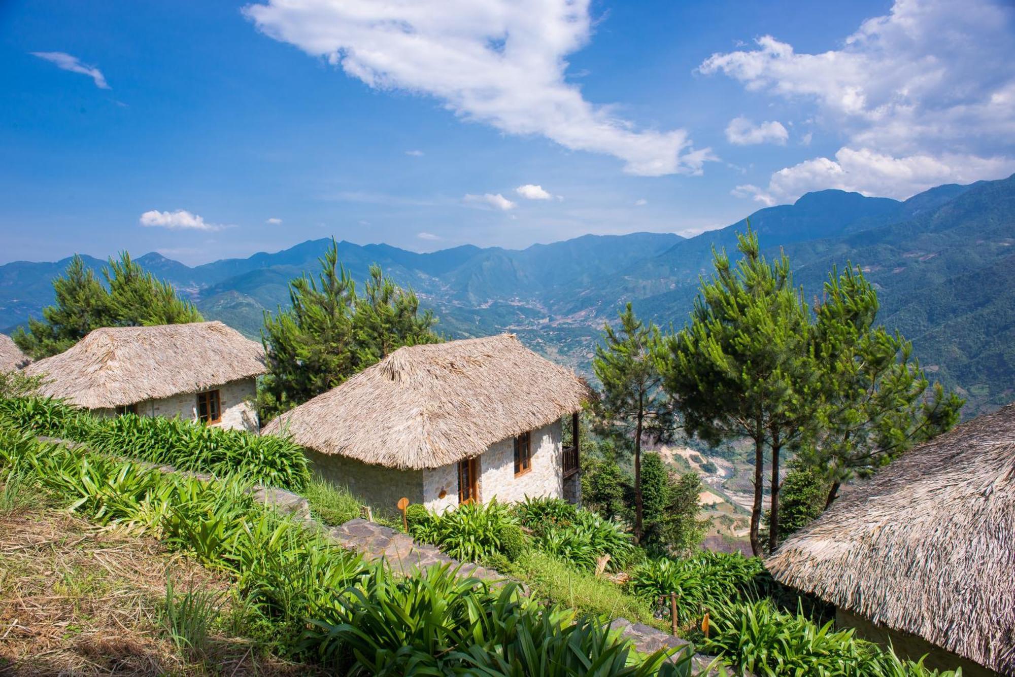 Bungalow Executive Cao Cấp